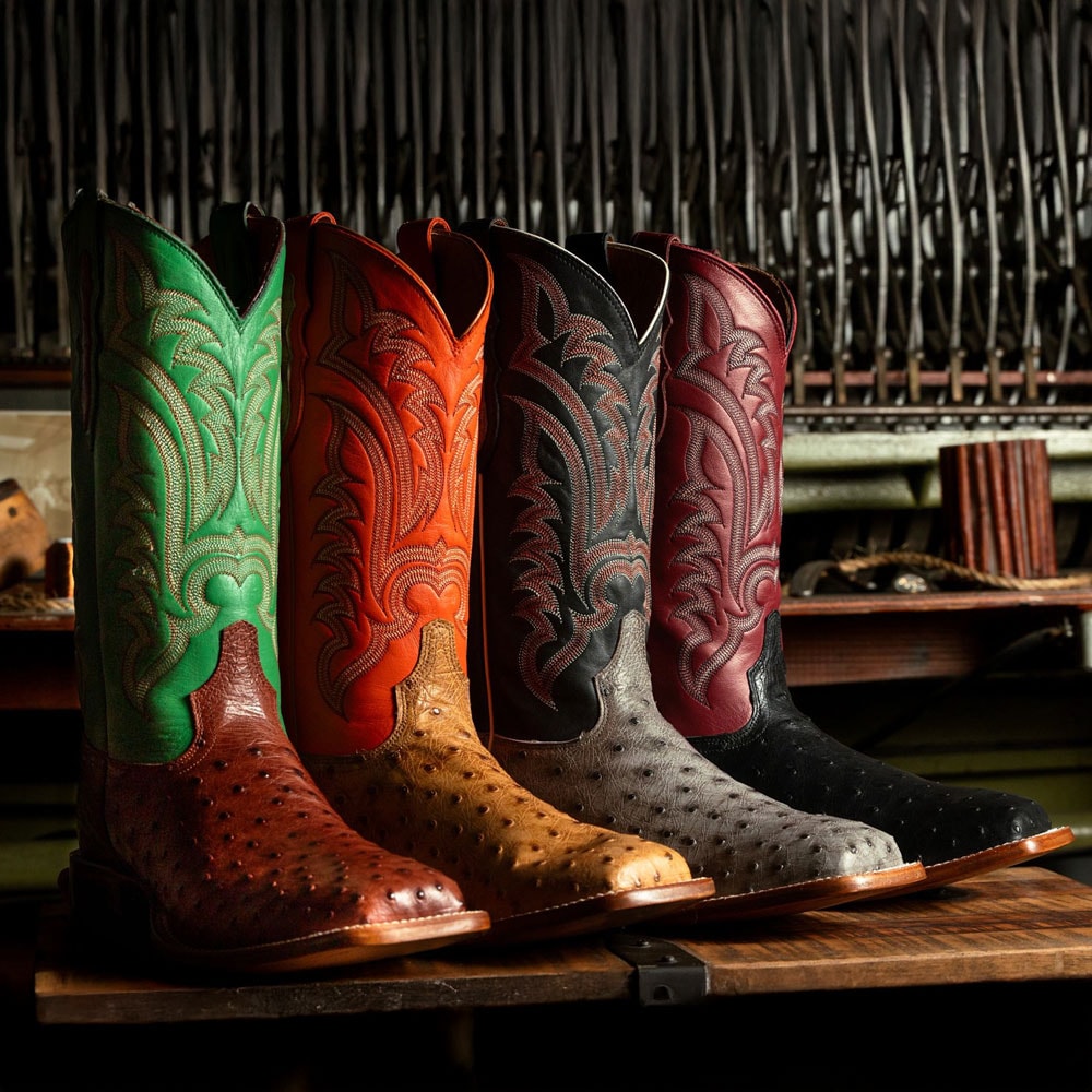 A line up of the Damilano 13” Full Quill Ostrich boots in multiple colors.